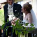 Hochzeit Hochzeitsbild 06
